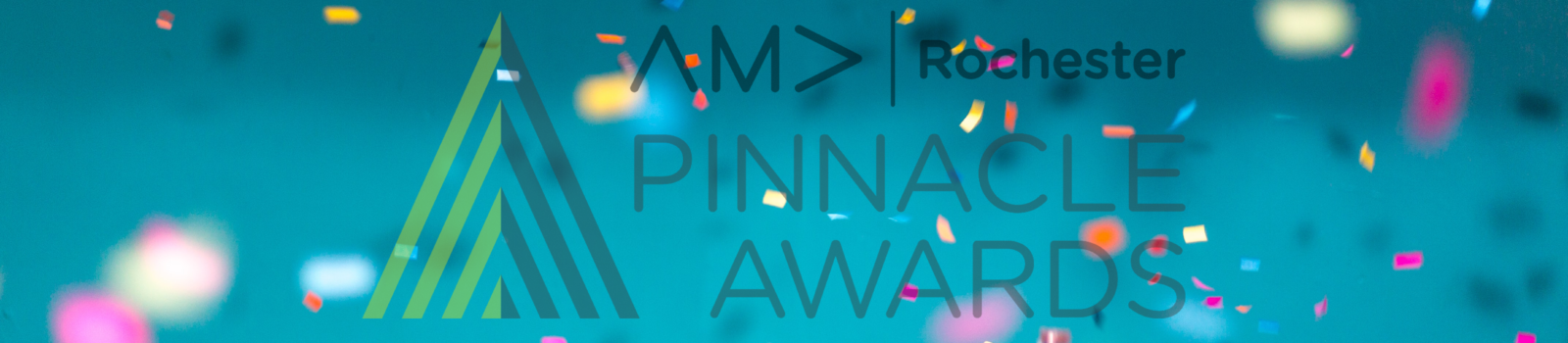 Pinnacle Finalists Awards