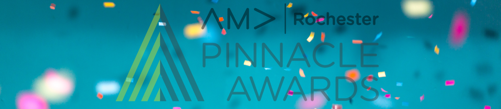 Pinnacle Finalists Awards Pinnacle Finalists Awards